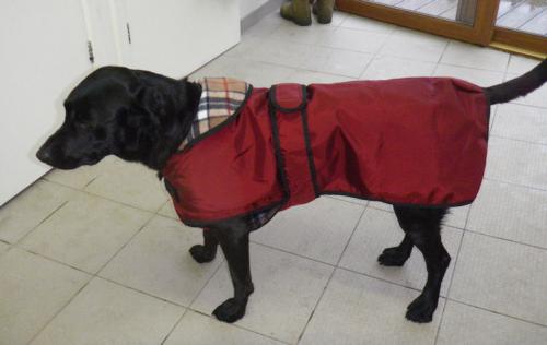 dog coat style 4